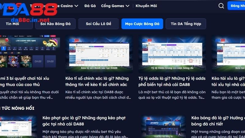 Những nội dung cập nhật hàng ngày tại blog cược DA88 