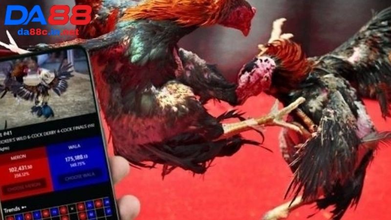 Ưu điểm khi trải nghiệm đá gà cựa sắt live trên DA88